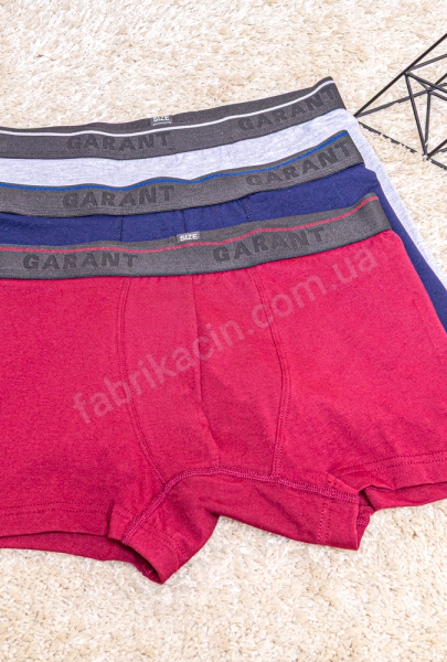 Трусы боксеры GARANT 48-56 цвет: бордовый