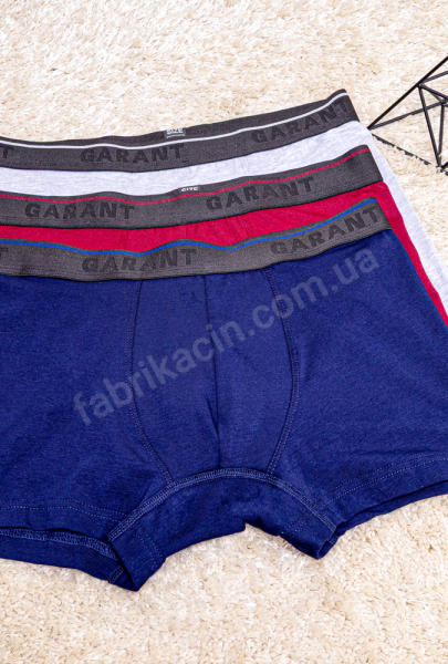 Трусы боксеры GARANT 48-56 цвет: синий